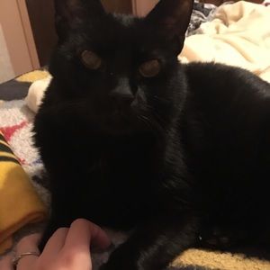 Meet your Posher, Dani